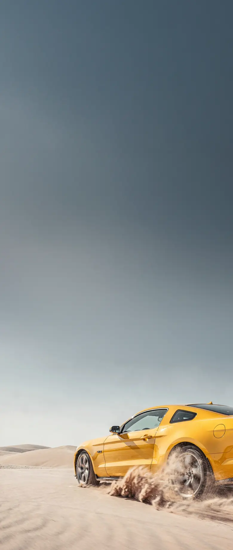 Main site image
